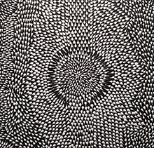Porcupine Quills by Yorga