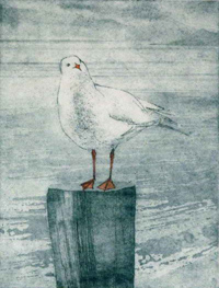 Seagull by Diana Macartney-Filgate