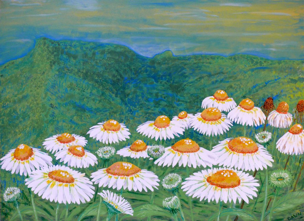 5 Generations since 1901- Croftons Rd & Blue knob Rd 'Wild Daisies' by Dawn McDonald
