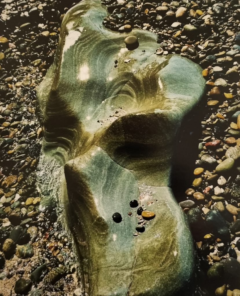 Beach Torso - Julie Debrosses (Digital Print)
